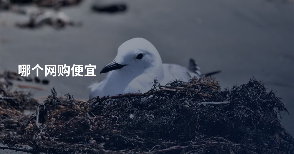 哪个网购便宜