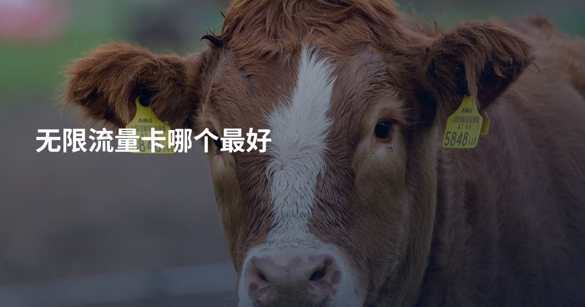 无限流量卡哪个最好