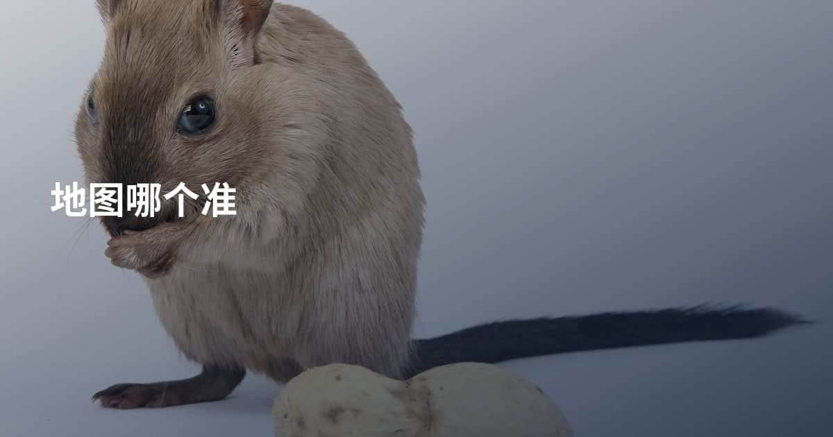 地图哪个准
