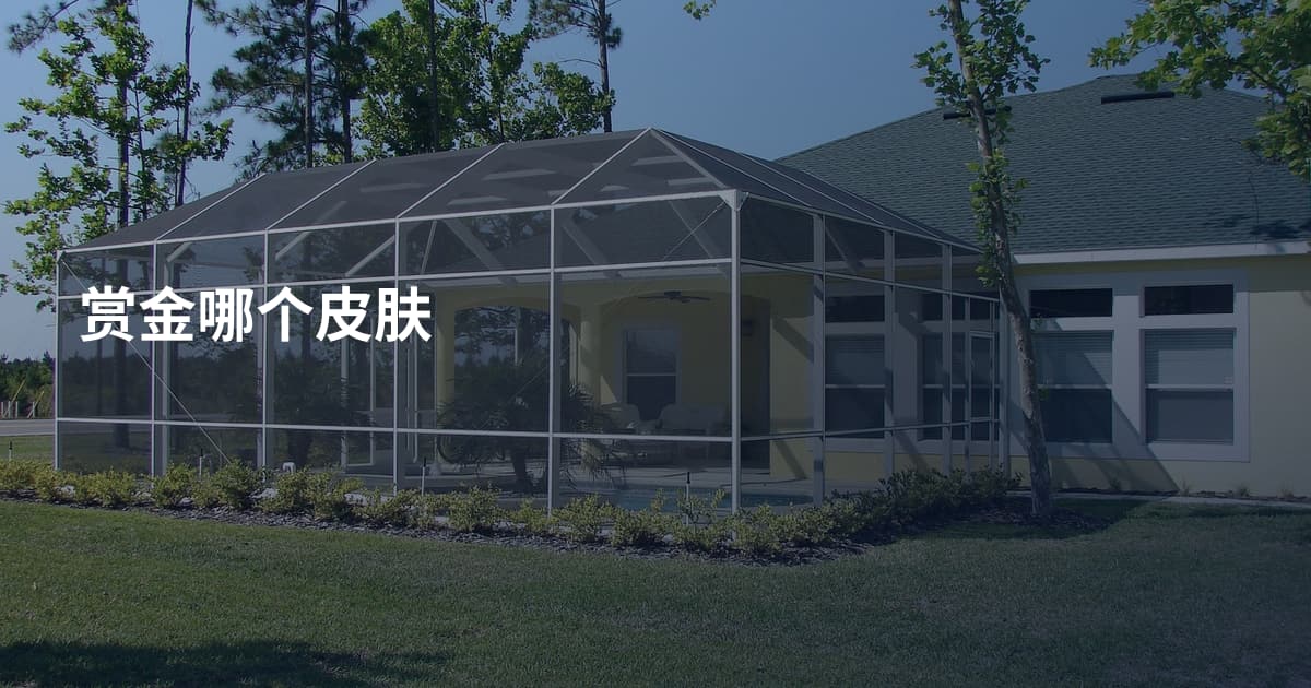 赏金哪个皮肤
