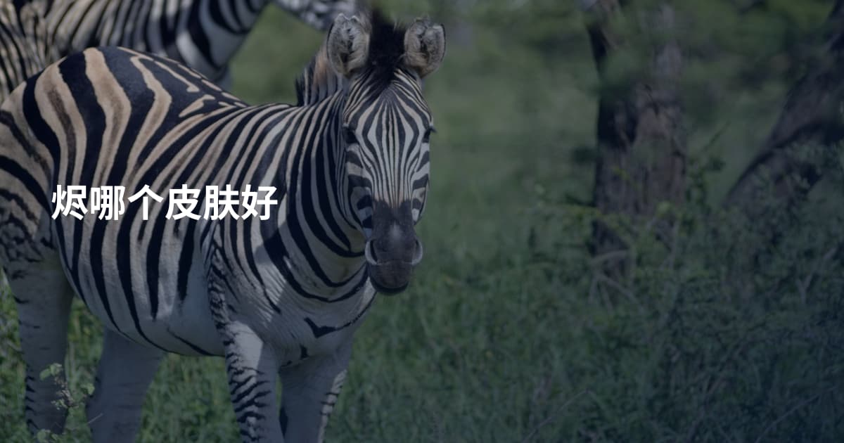 烬哪个皮肤好