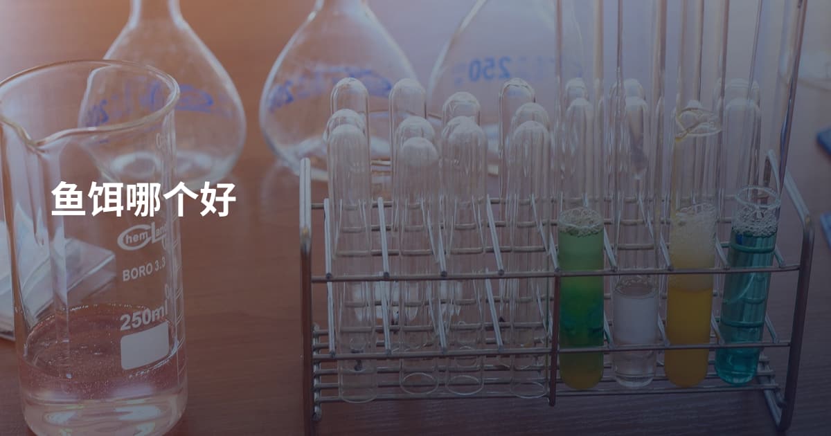 鱼饵哪个好
