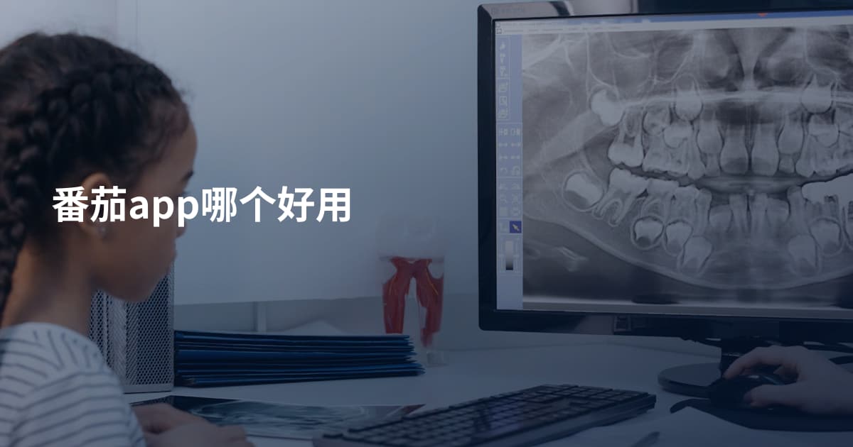 番茄app哪个好用