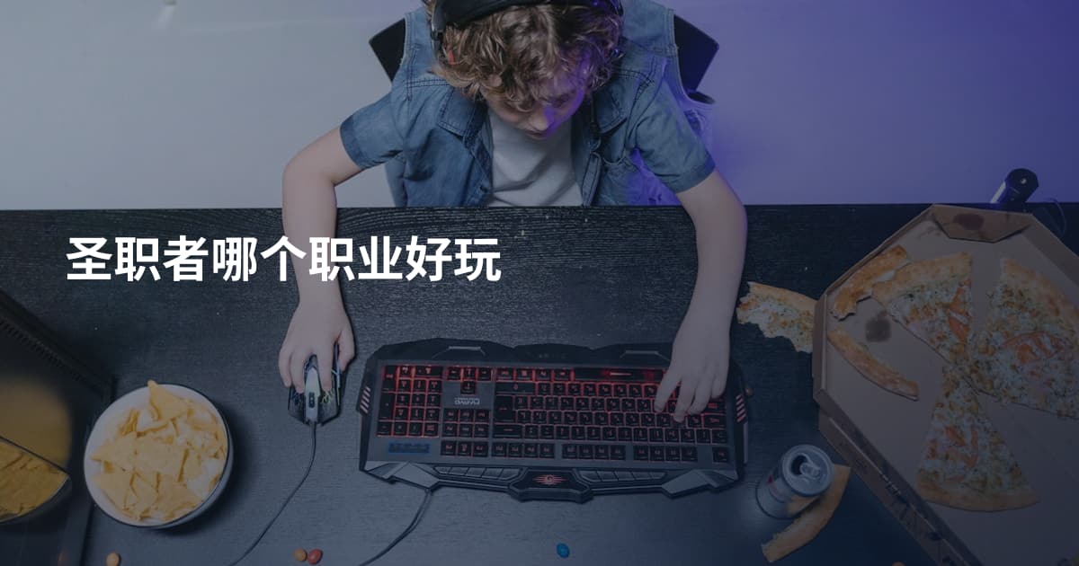 圣职者哪个职业好玩