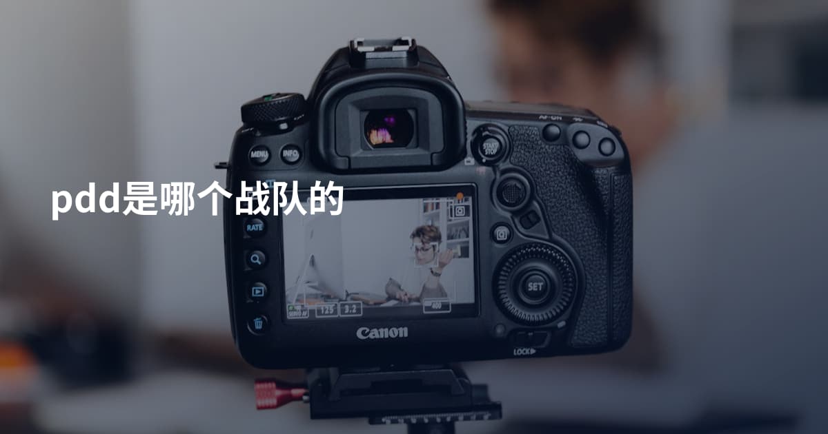 pdd是哪个战队的