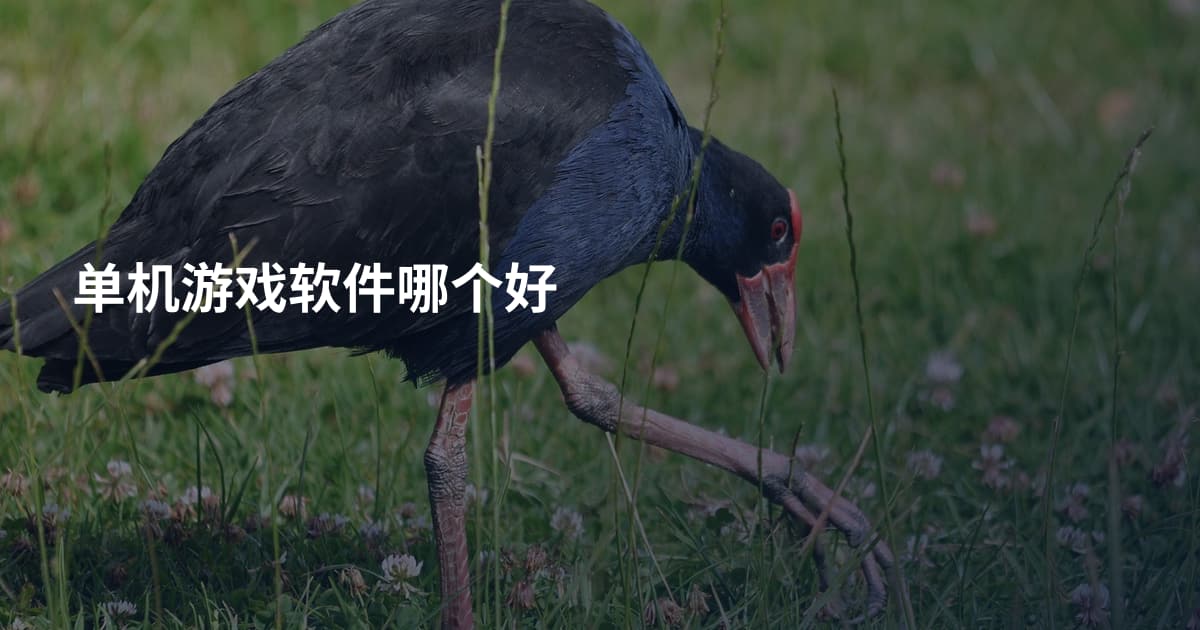 单机游戏软件哪个好