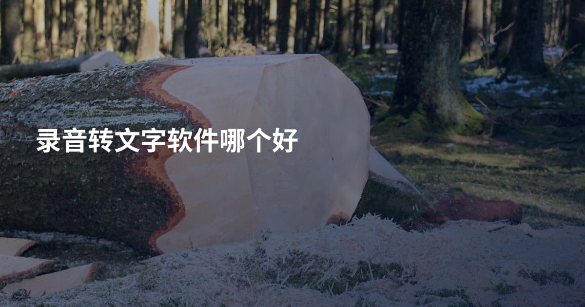 录音转文字软件哪个好