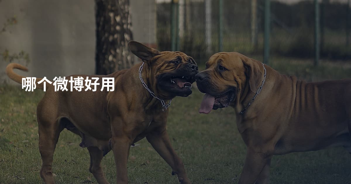 哪个微博好用