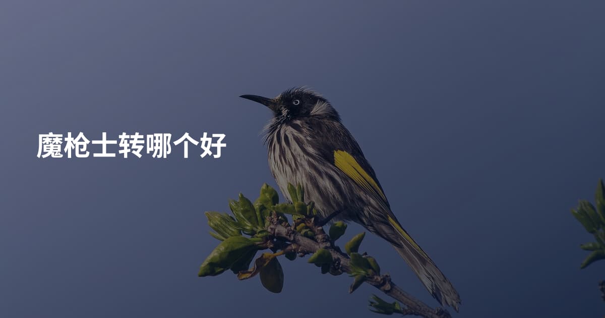 魔枪士转哪个好