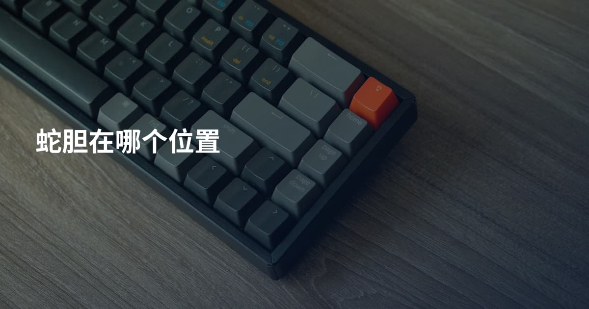 蛇胆在哪个位置