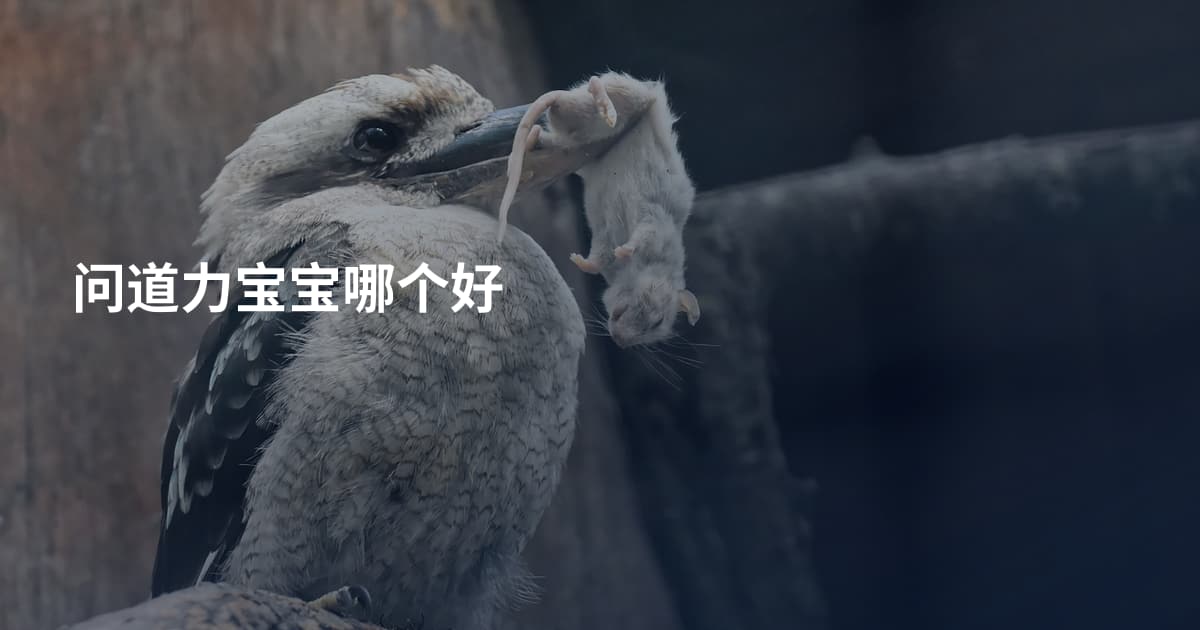 问道力宝宝哪个好