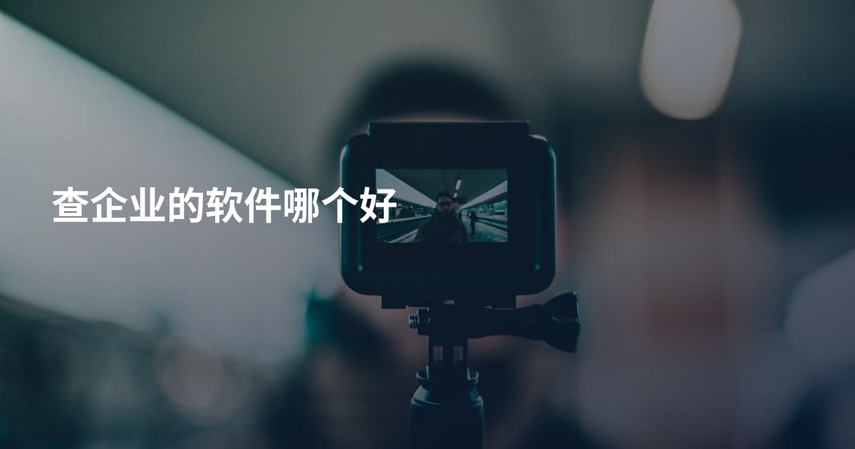 查企业的软件哪个好