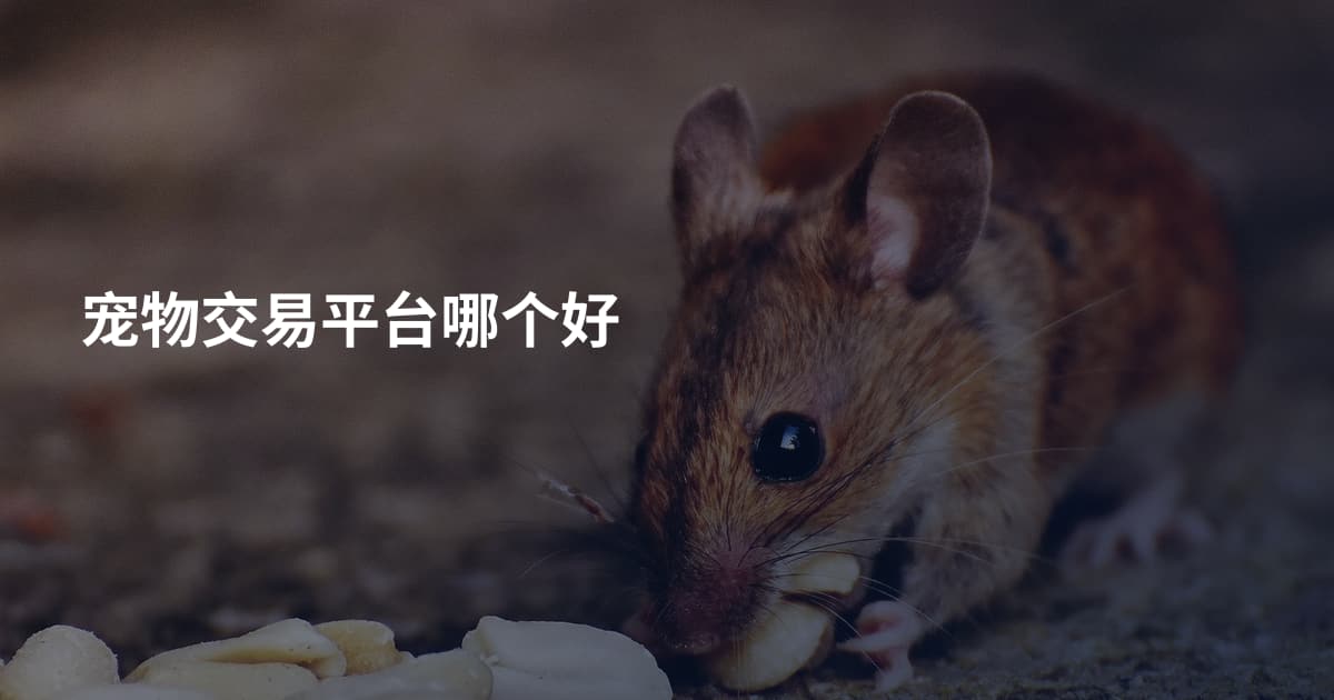 宠物交易平台哪个好