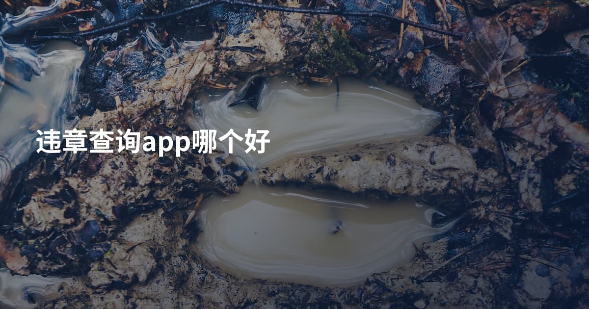 违章查询app哪个好
