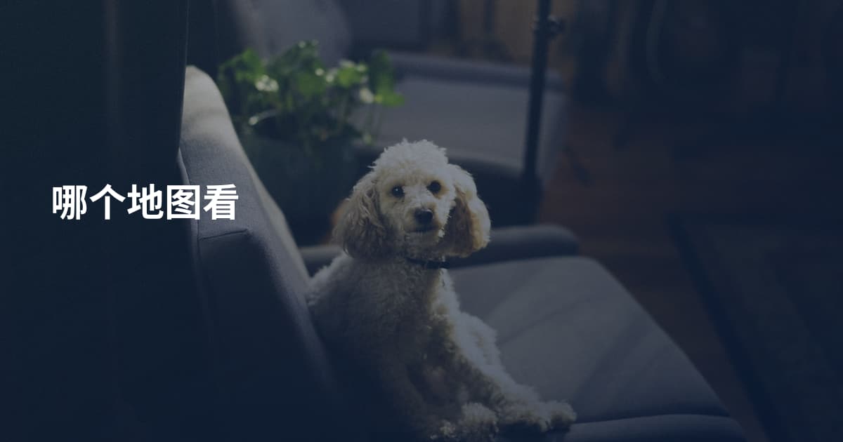 哪个地图看