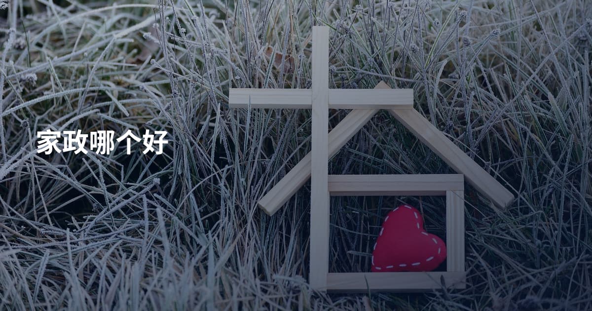 家政哪个好