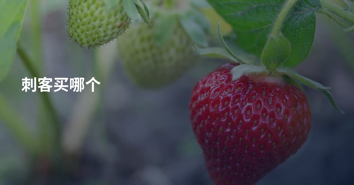 刺客买哪个