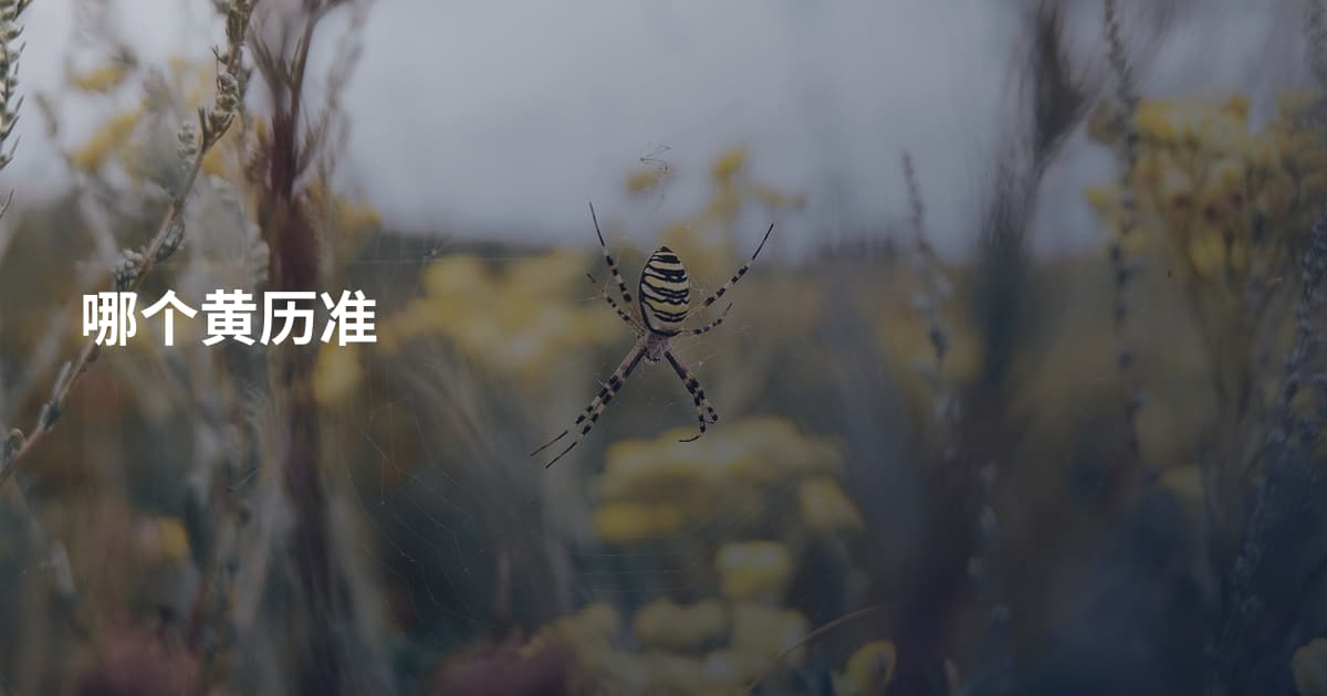 哪个黄历准