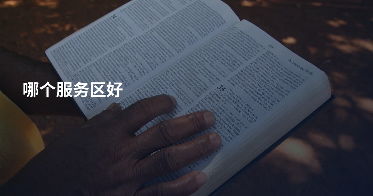 哪个服务区好