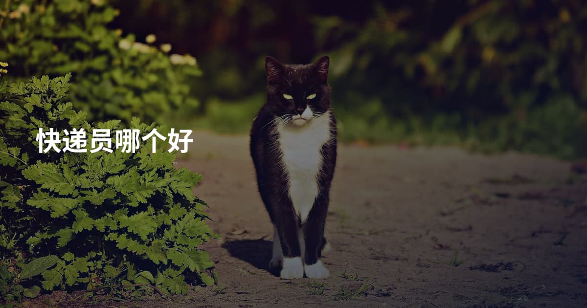 快递员哪个好