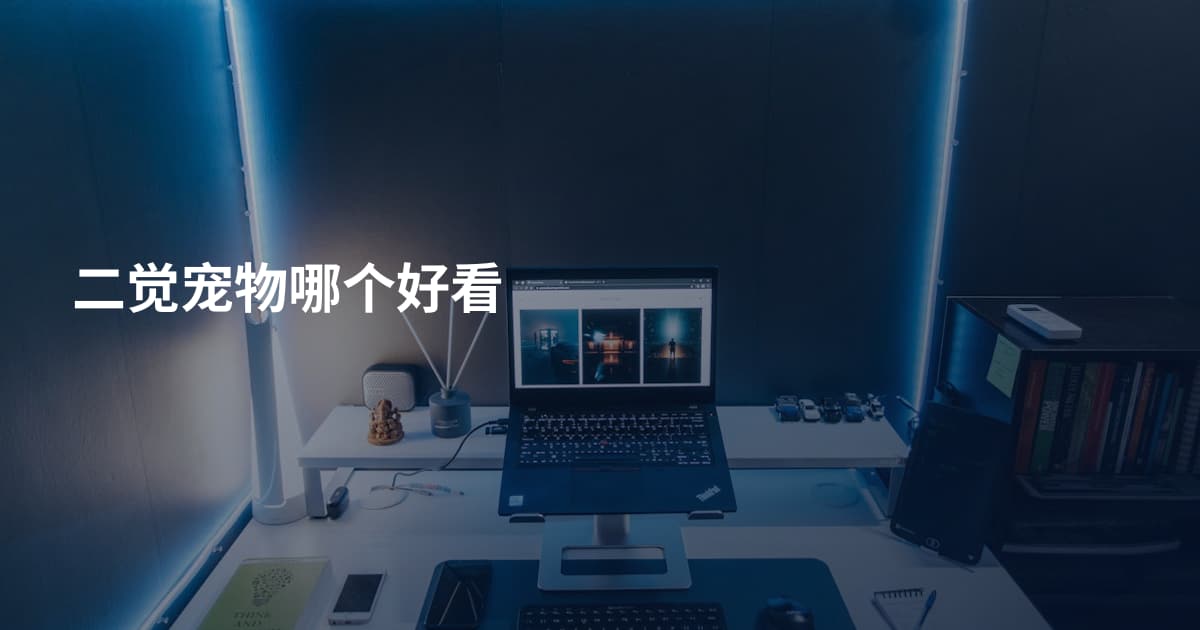 二觉宠物哪个好看