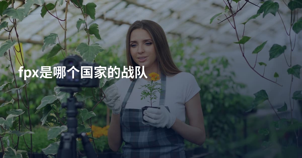 fpx是哪个国家的战队