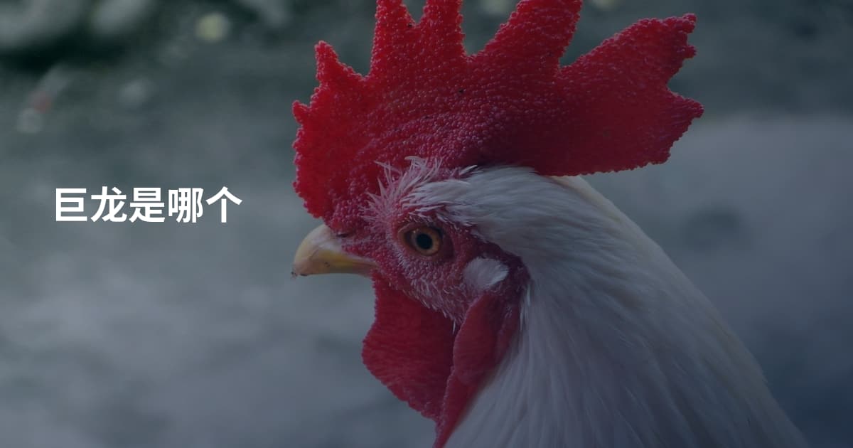 巨龙是哪个