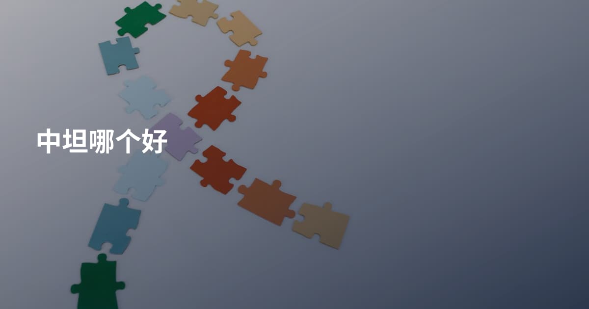 中坦哪个好