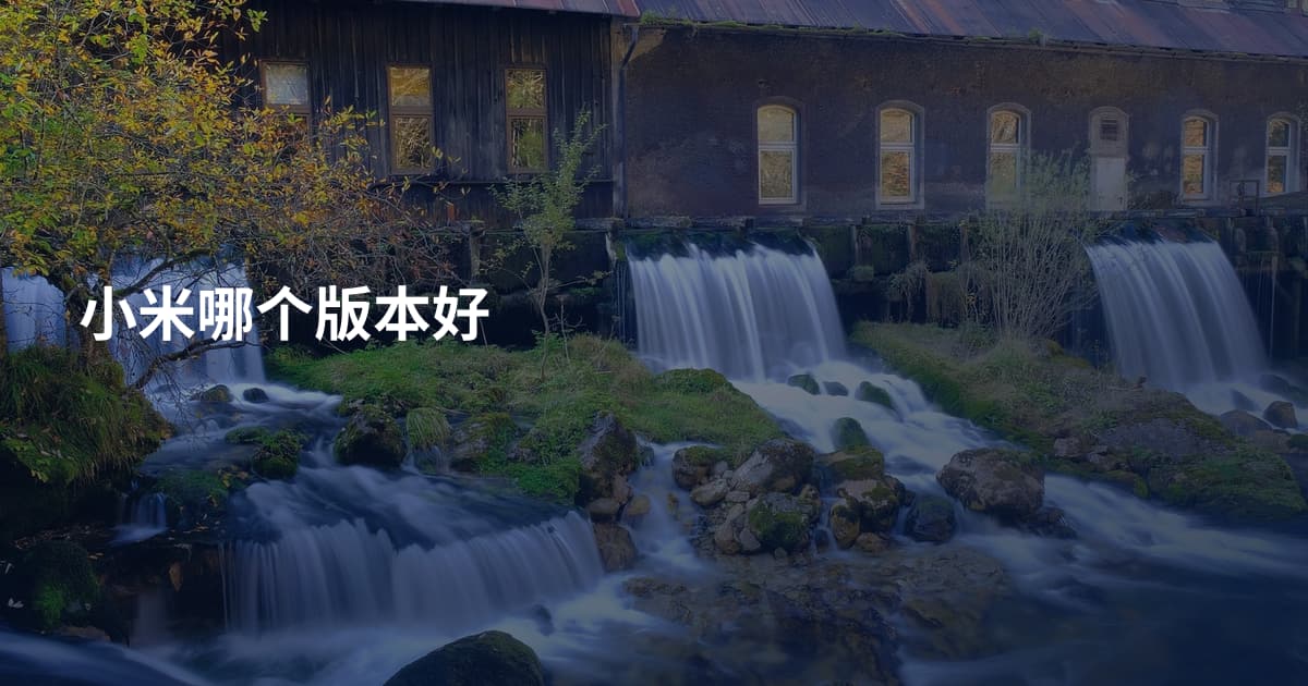 小米哪个版本好