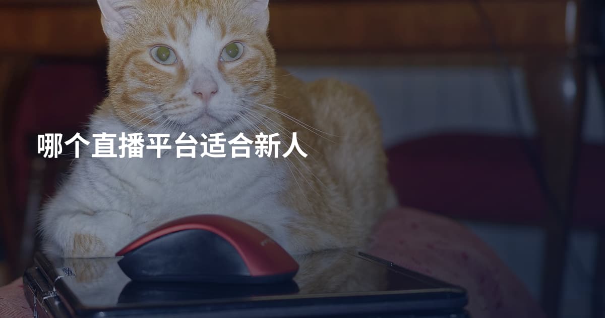 哪个直播平台适合新人
