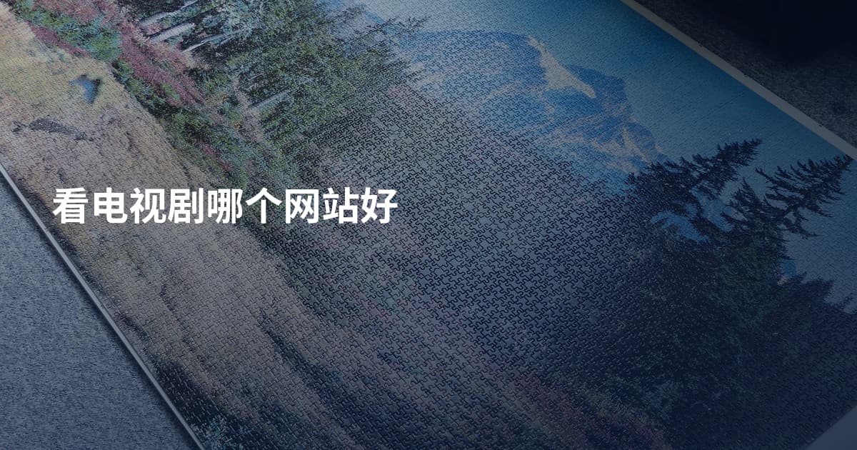 看电视剧哪个网站好