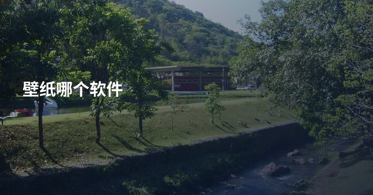 壁纸哪个软件