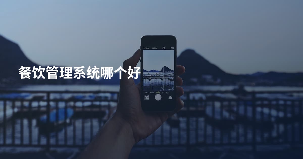 餐饮管理系统哪个好
