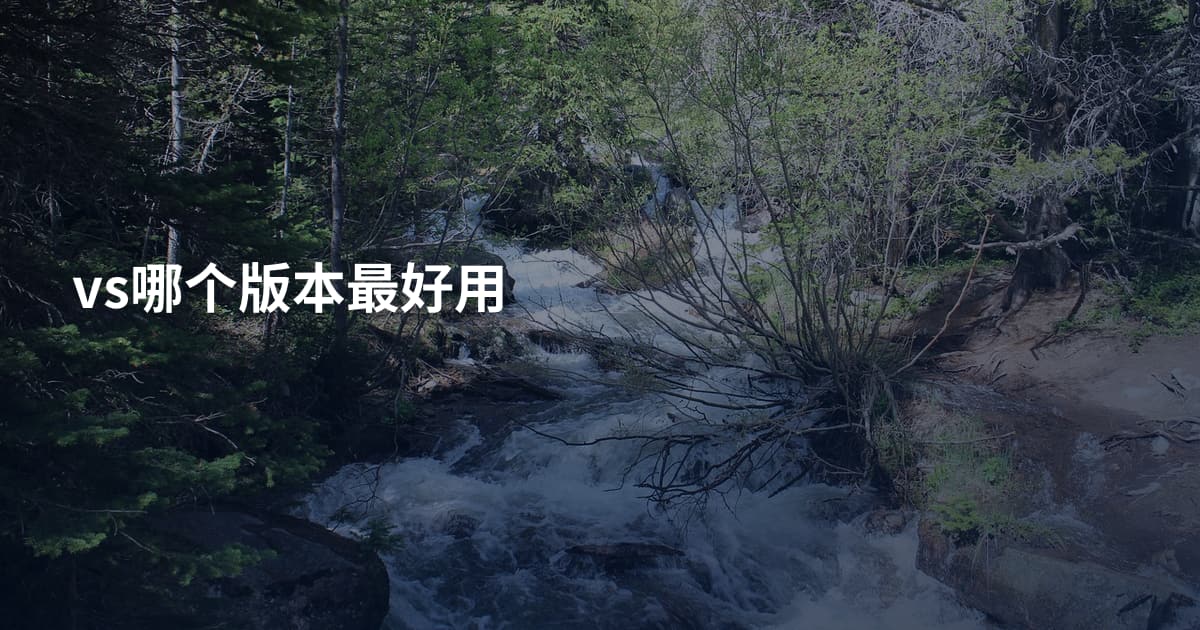 vs哪个版本最好用