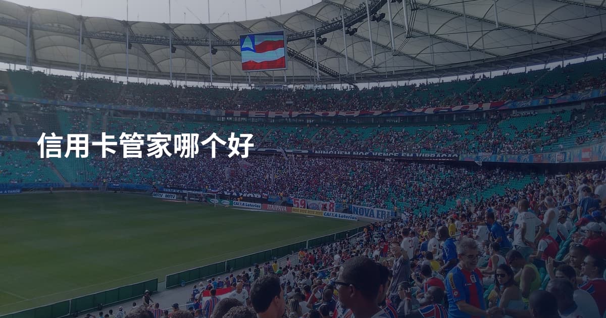 信用卡管家哪个好