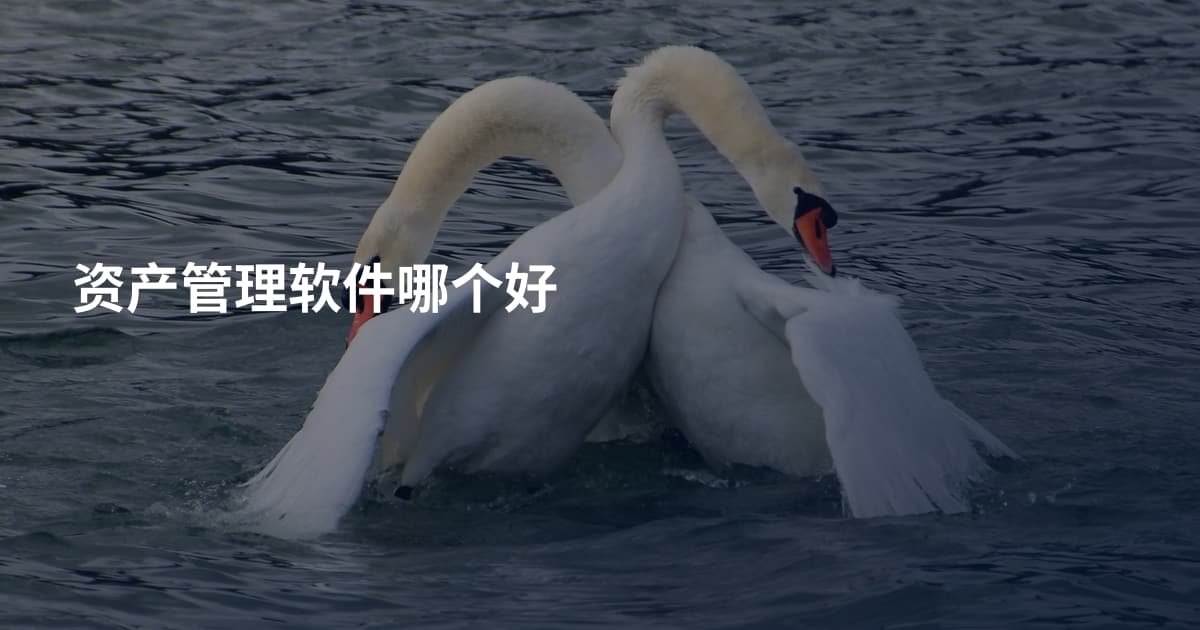 资产管理软件哪个好