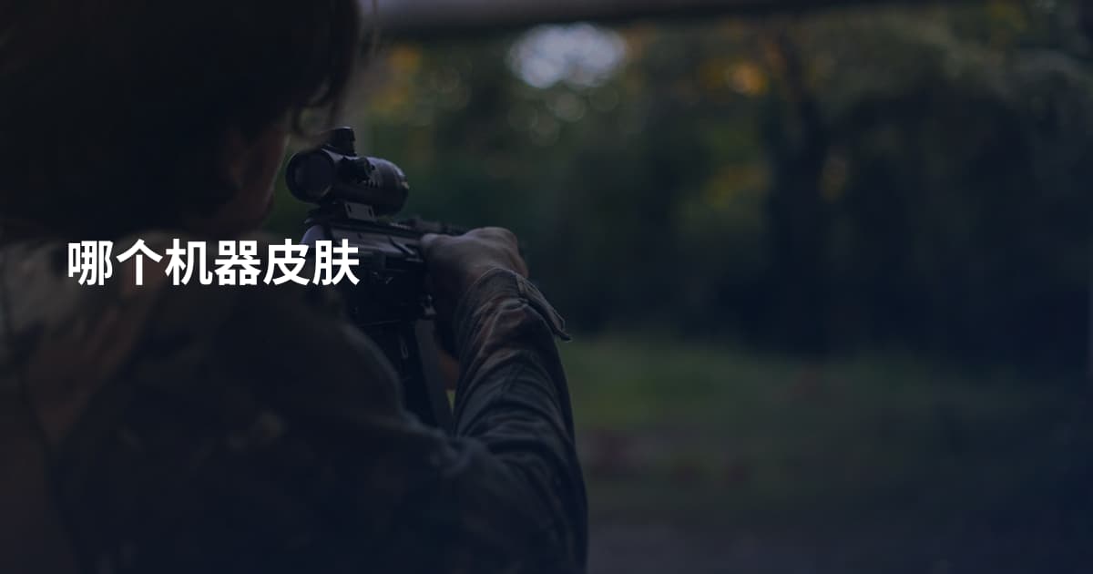 哪个机器皮肤