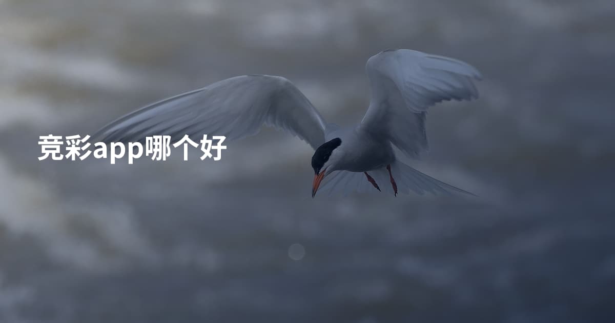 竞彩app哪个好