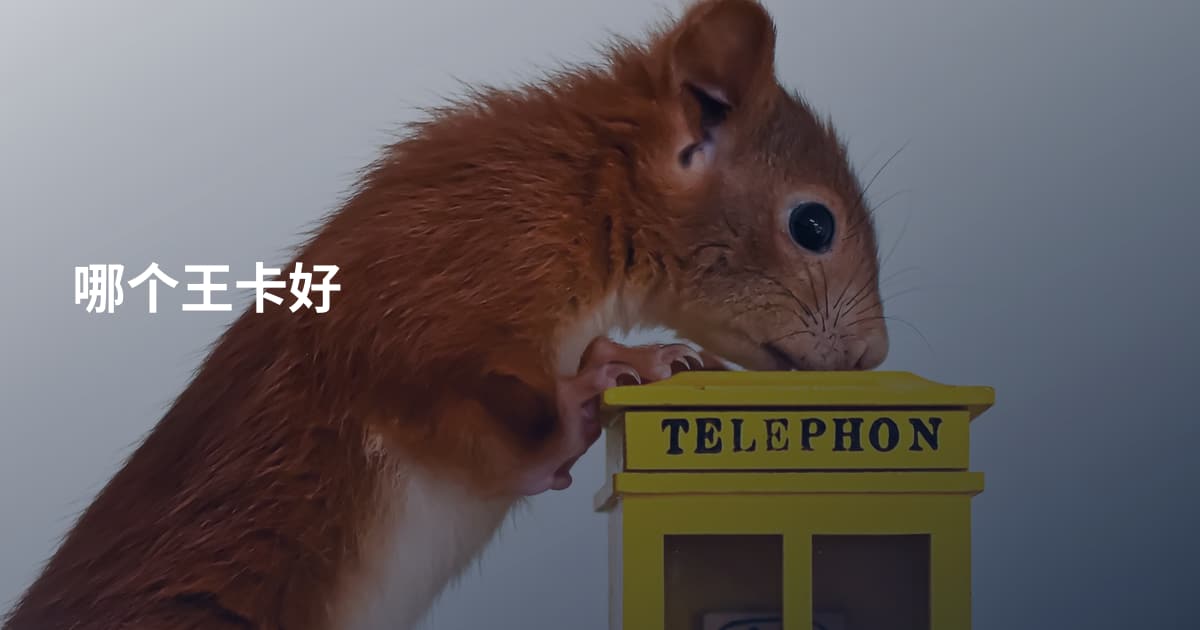 哪个王卡好