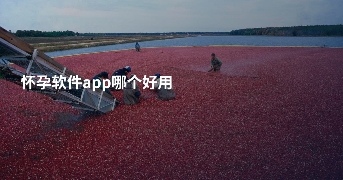 怀孕软件app哪个好用