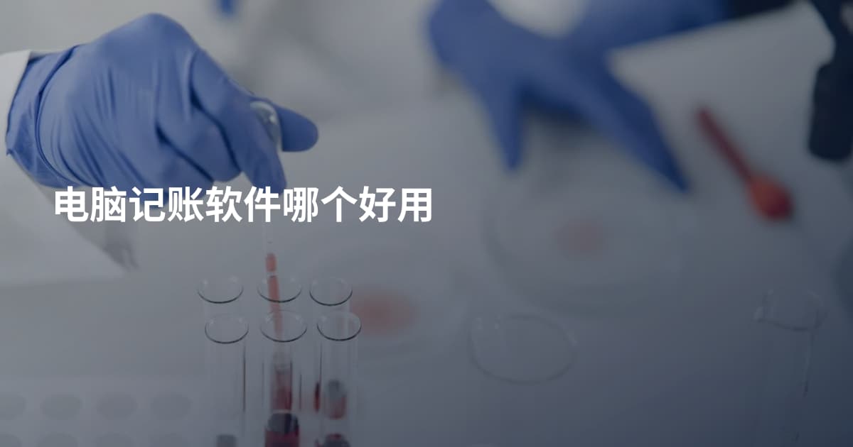 电脑记账软件哪个好用