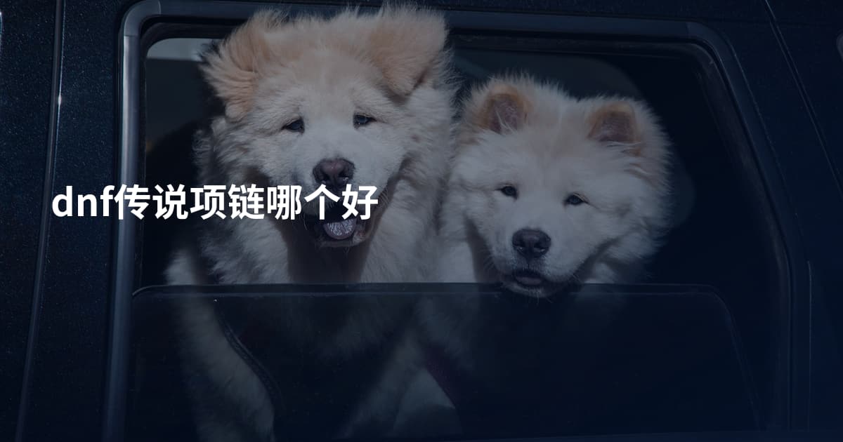dnf传说项链哪个好