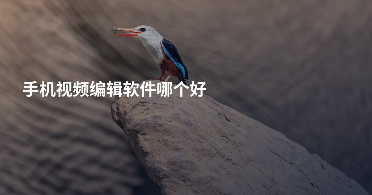 手机视频编辑软件哪个好