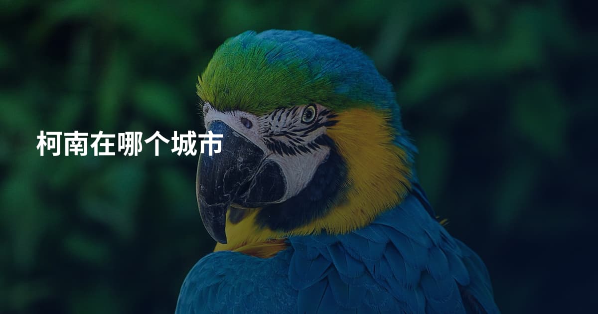柯南在哪个城市