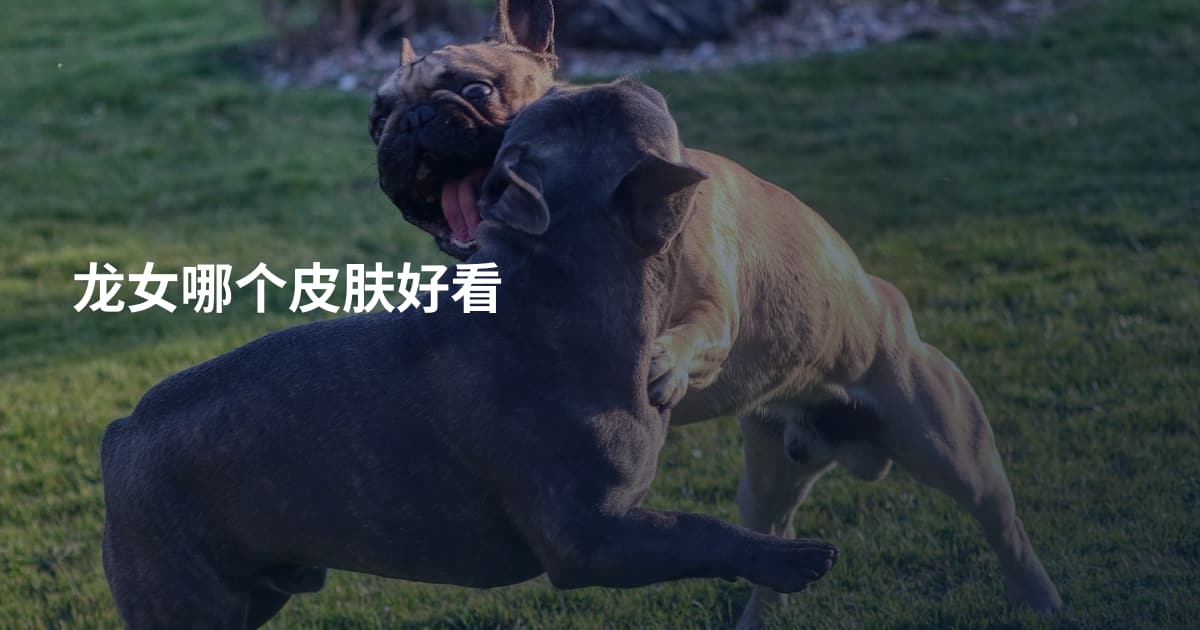龙女哪个皮肤好看
