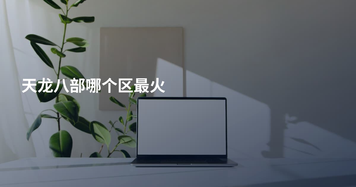天龙八部哪个区最火