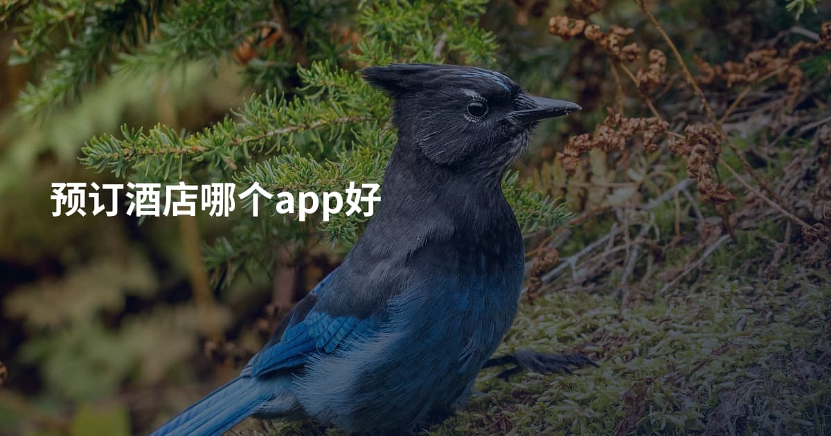 预订酒店哪个app好