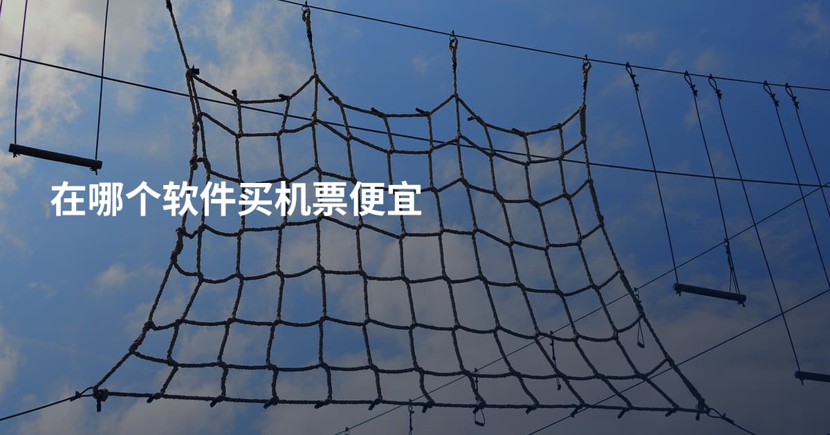 在哪个软件买机票便宜