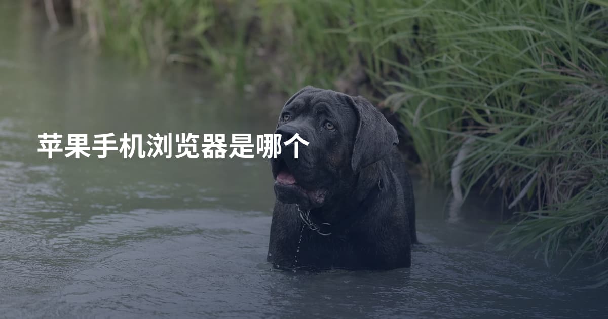 苹果手机浏览器是哪个