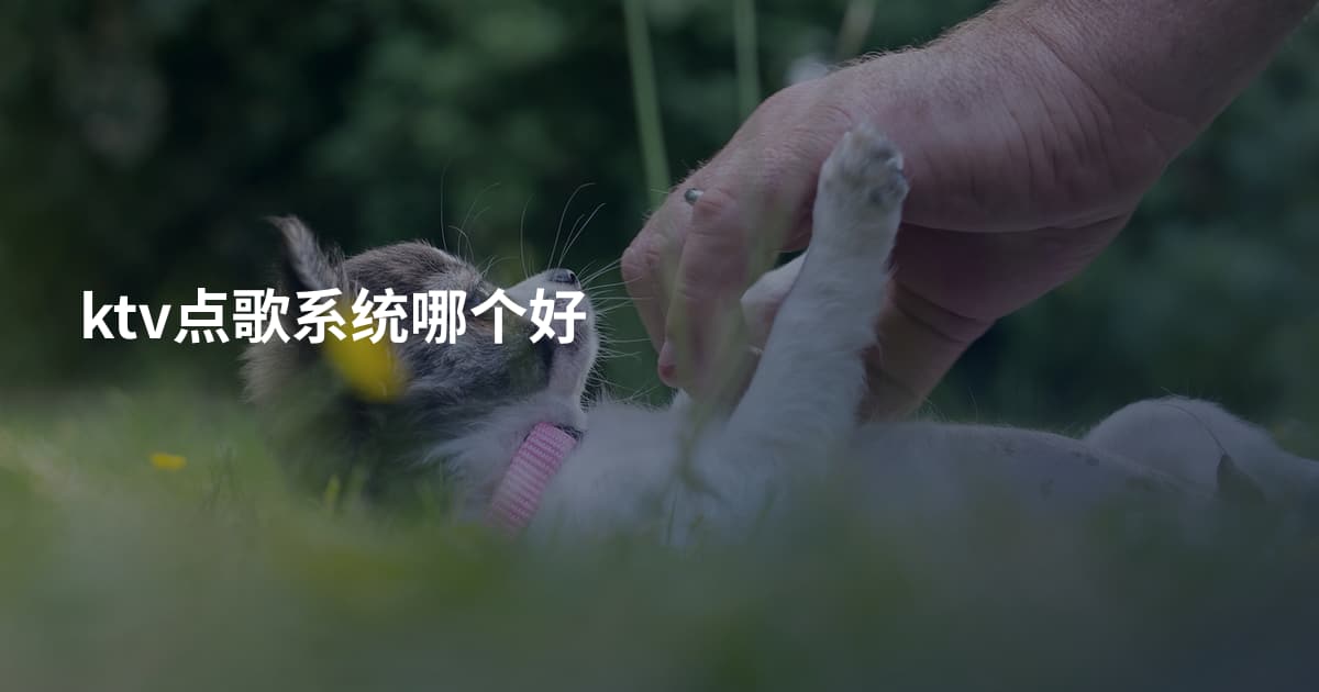 ktv点歌系统哪个好